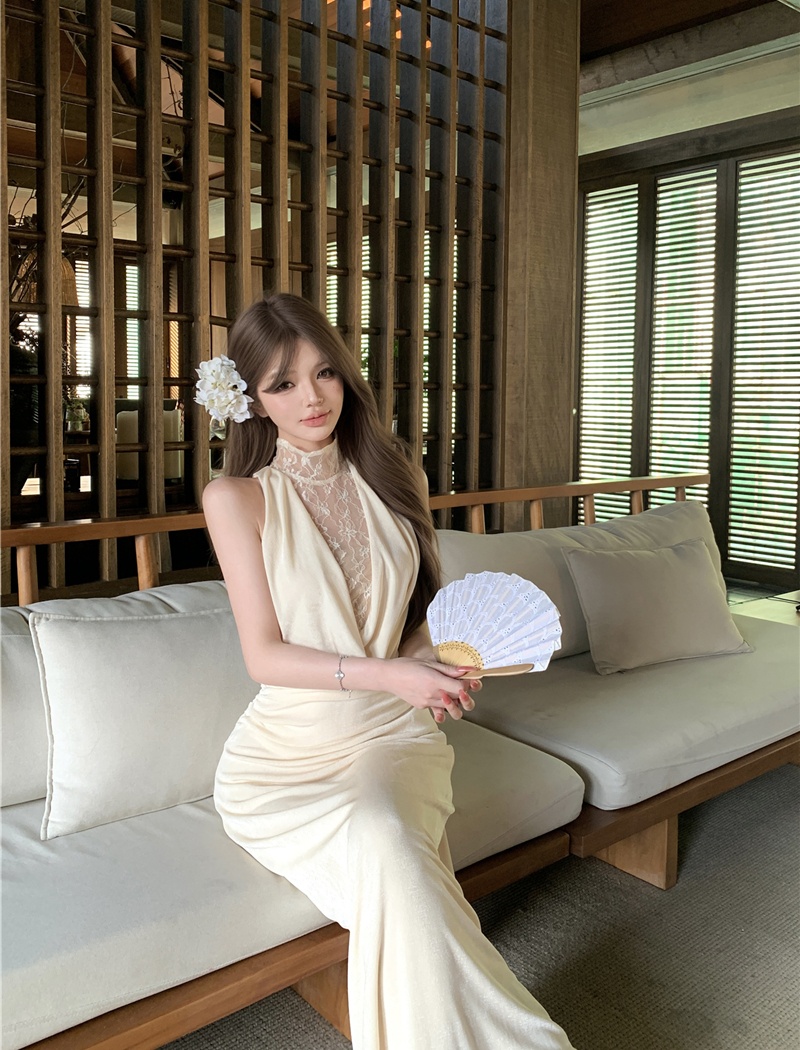 Temperament gauze dress slim retro long dress for women