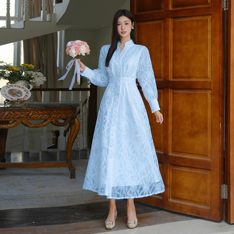 Embroidery elegant dress single-breasted long dress