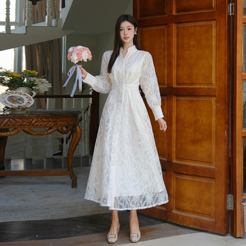 Embroidery elegant dress single-breasted long dress