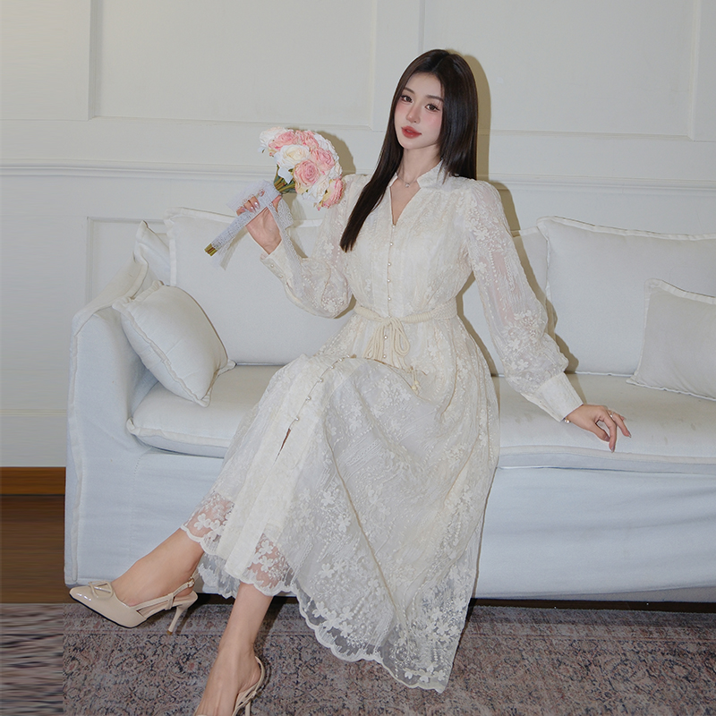 Slim big skirt dress embroidery long dress