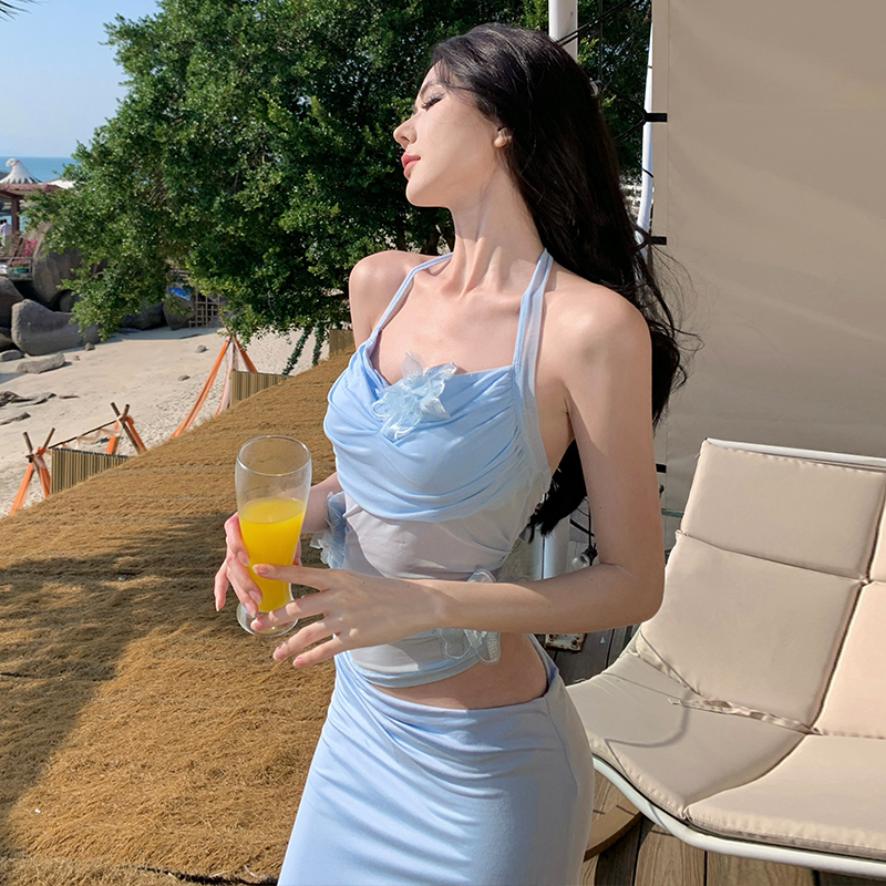 Vacation package hip long dress perspective dress