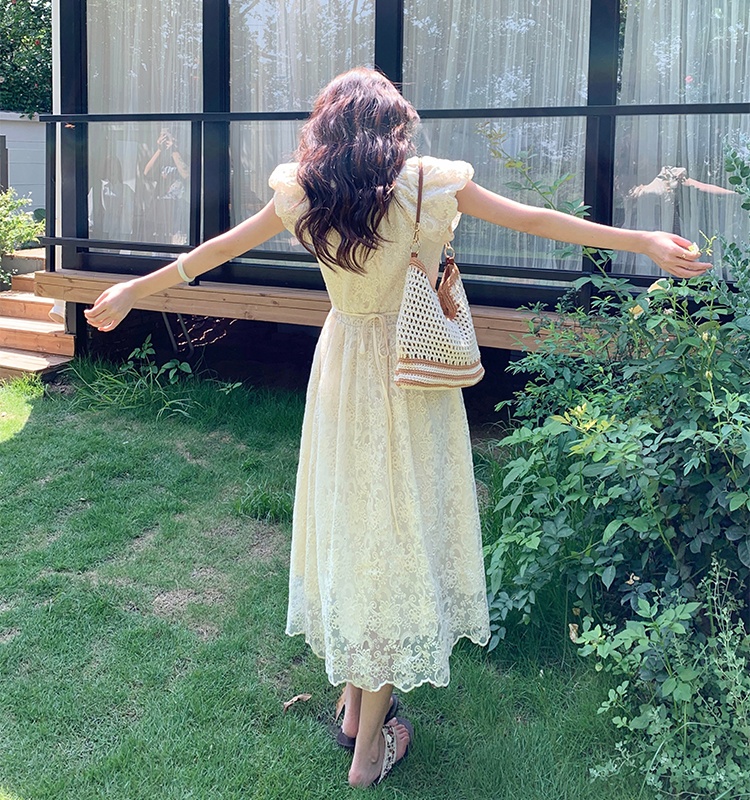 Slim lace France style embroidery dress for women