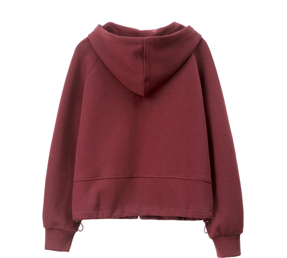 Zip Casual autumn hoodie hooded fashion tops for women