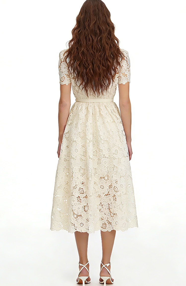 Slim pinched waist lace short sleeve hollow dress