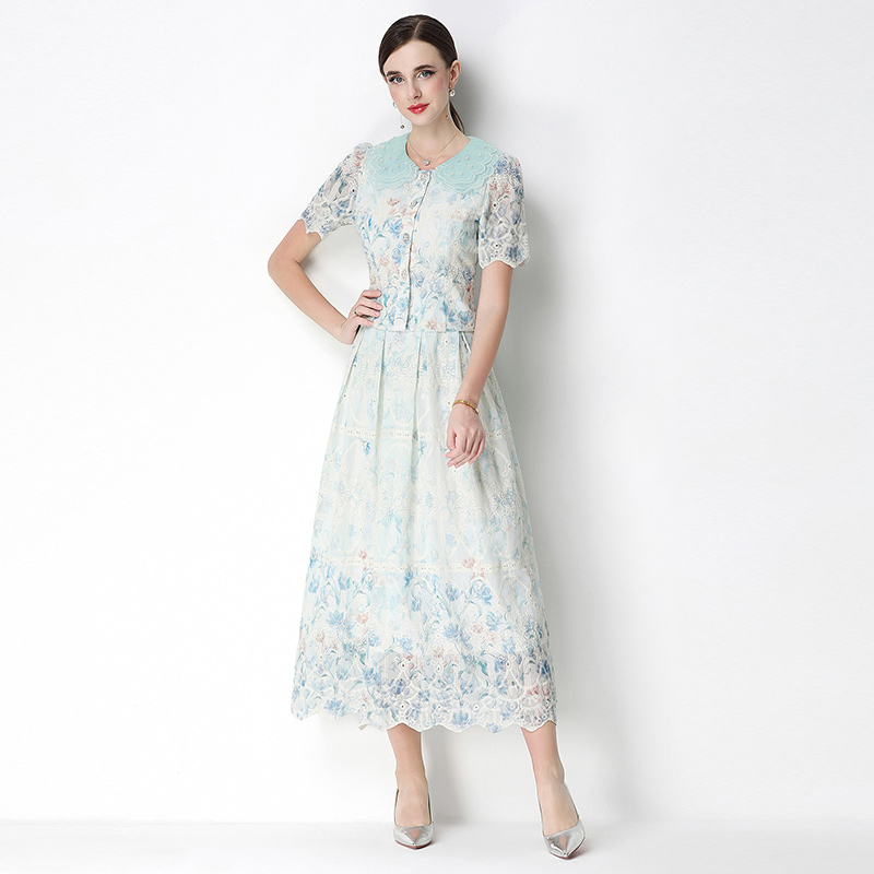 Slim embroidery printing light luxury fashion skirt a set