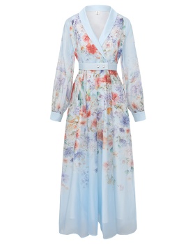 Spring printing retro canvas long sleeve long dress