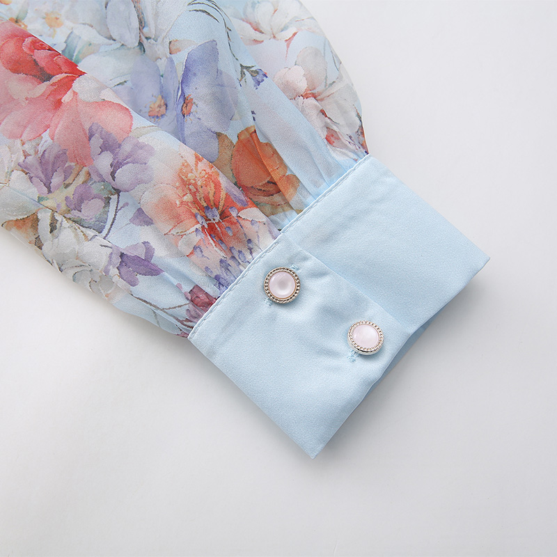 Spring printing retro canvas long sleeve long dress