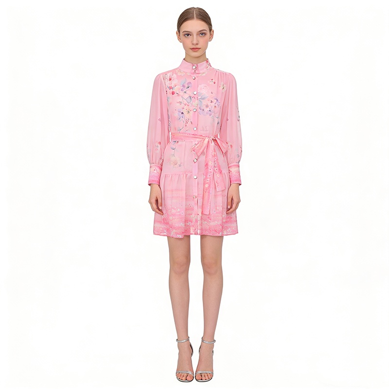 Printing cstand collar painting lantern sleeve dress