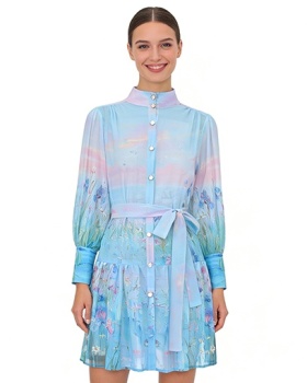 Painting spring and summer lantern sleeve dress