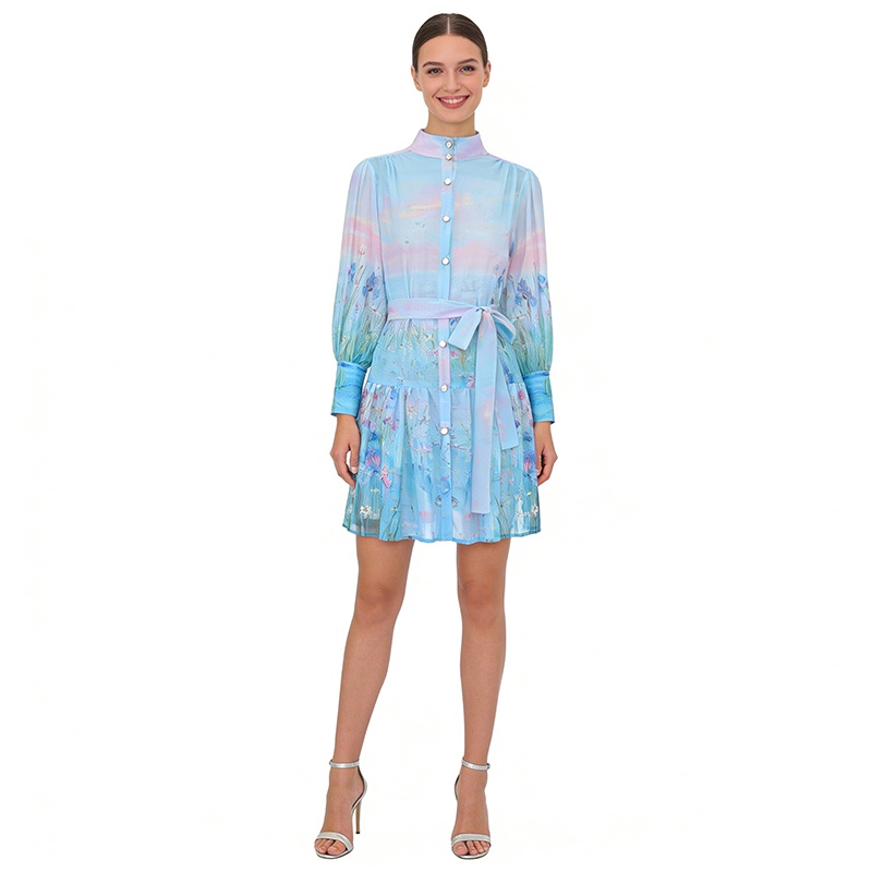 Painting spring and summer lantern sleeve dress