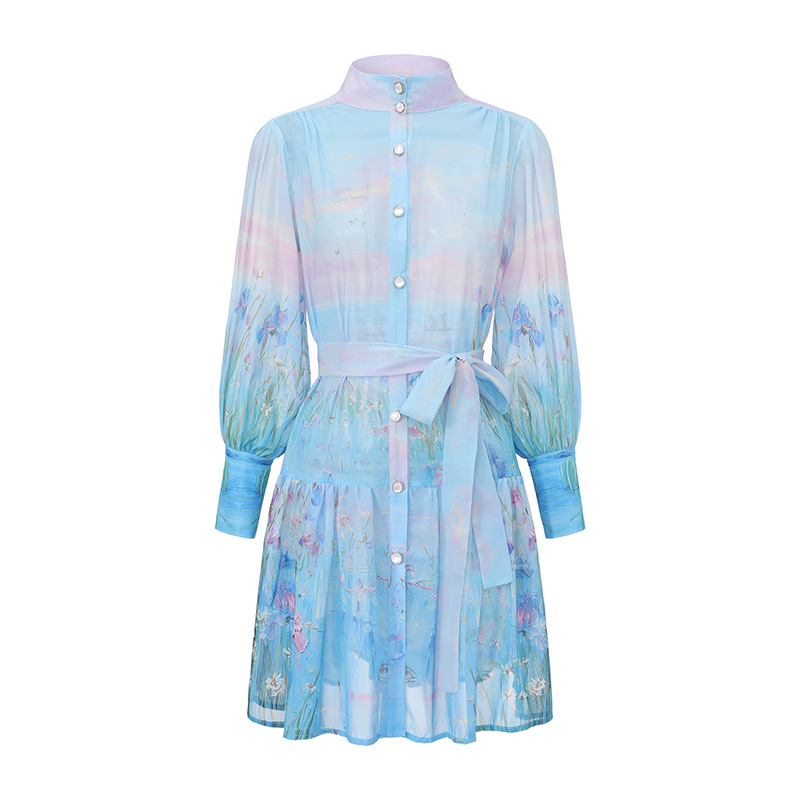 Painting spring and summer lantern sleeve dress