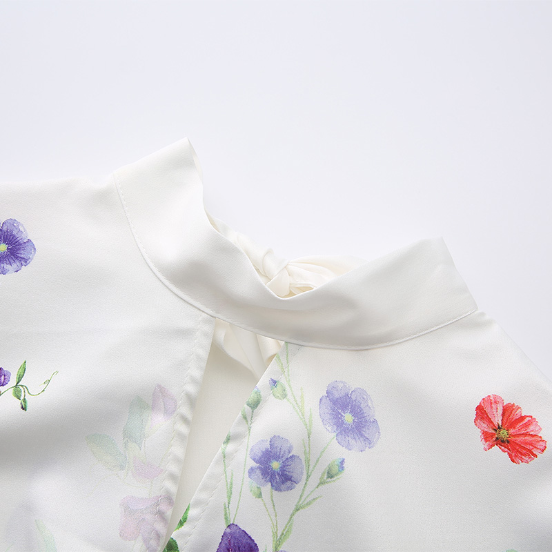 Printing cstand collar spring and summer dress