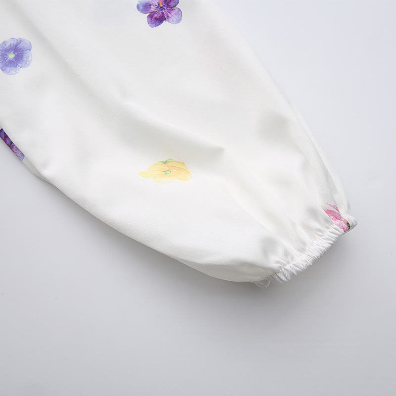 Printing cstand collar spring and summer dress