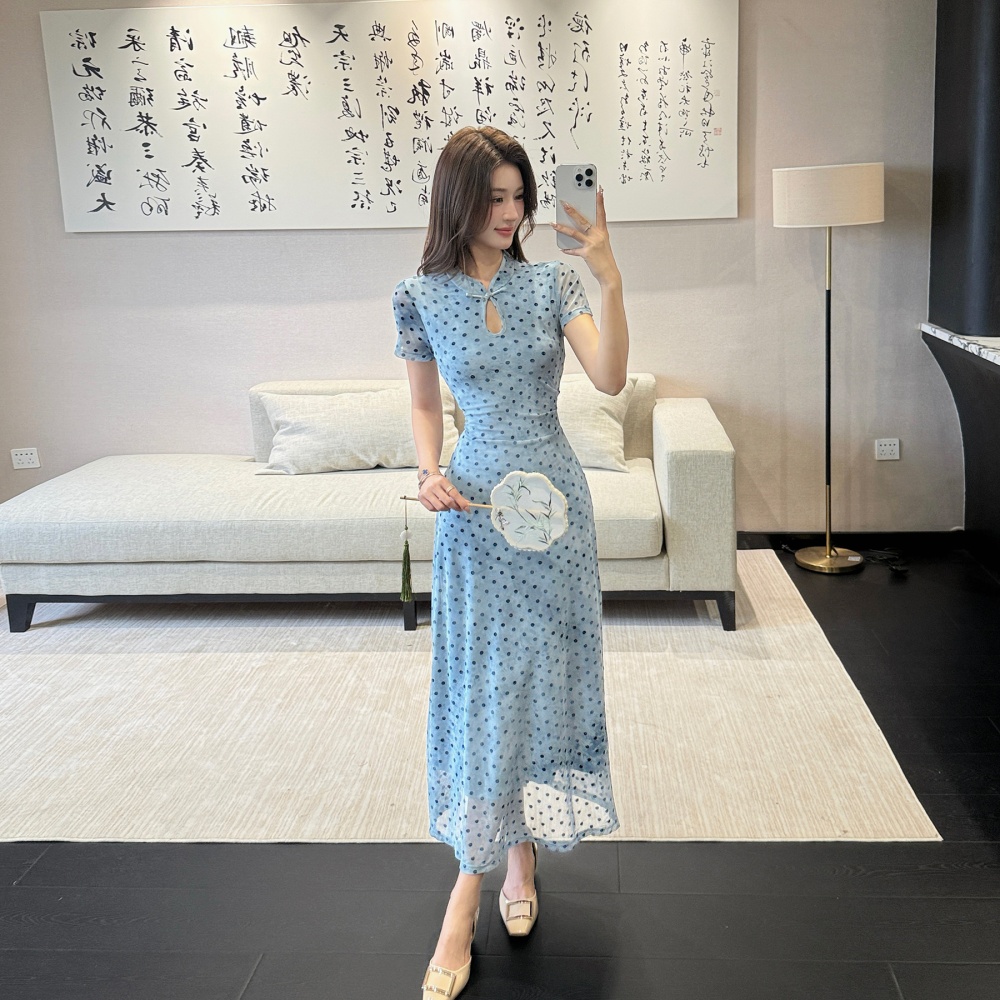 Chinese style dress drops of water collar long dress