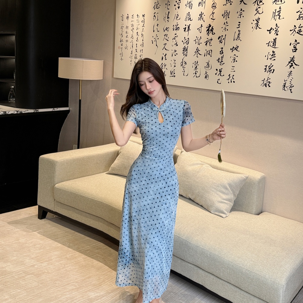 Chinese style dress drops of water collar long dress