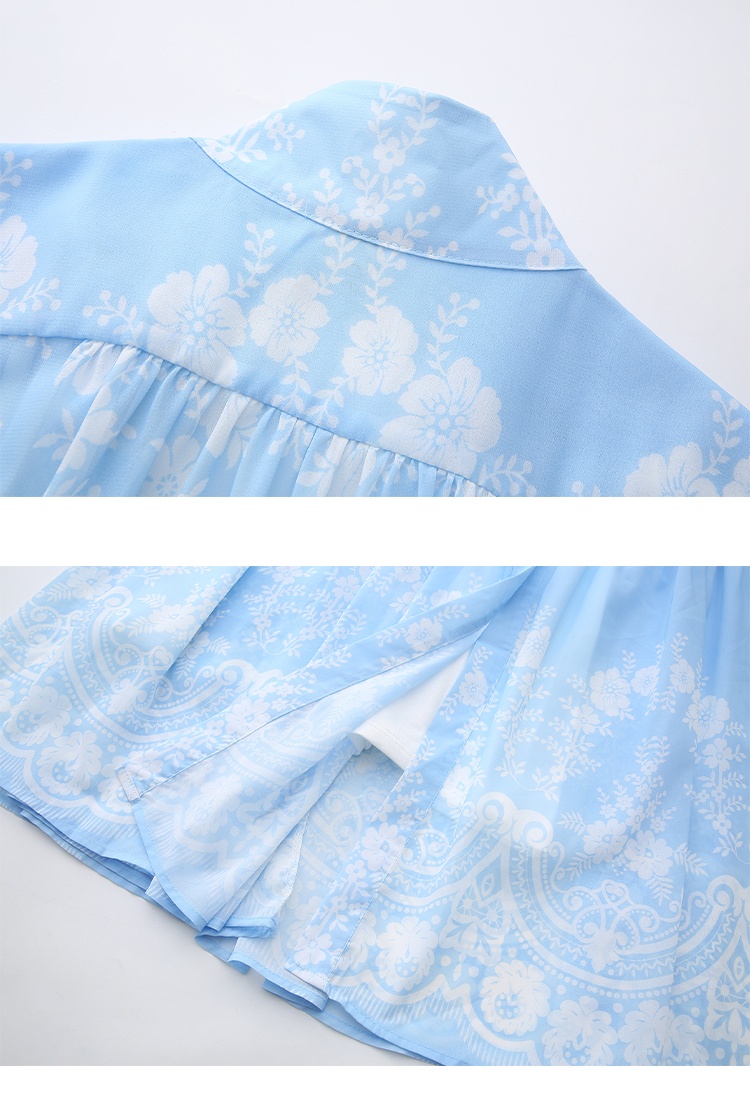 Lantern sleeve printing cstand collar painting dress