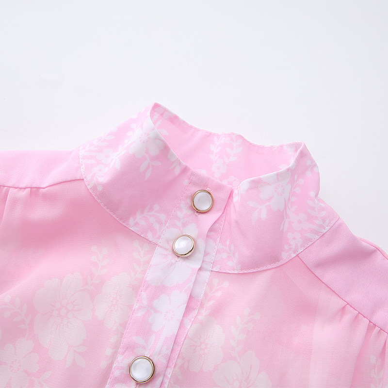 Cstand collar retro spring and summer printing dress