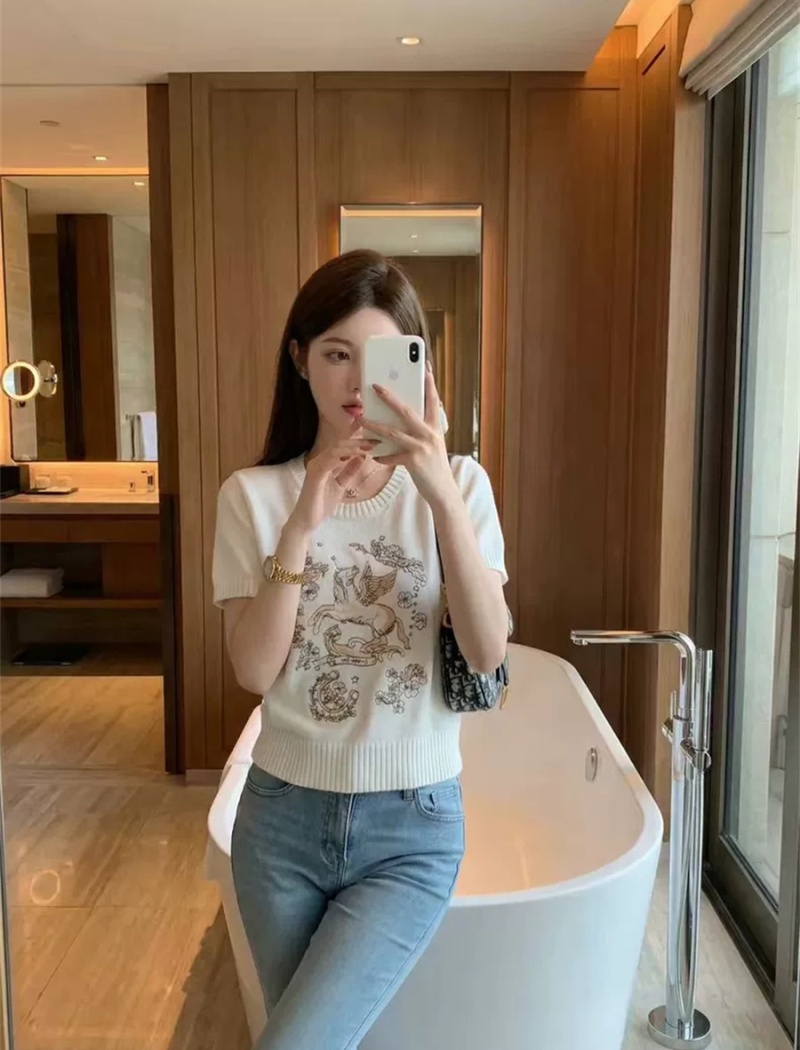 Short sleeve summer T-shirt unique embroidery tops for women