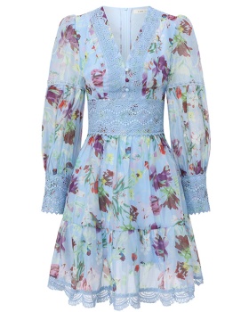 Lace printing splice painting spring and summer dress