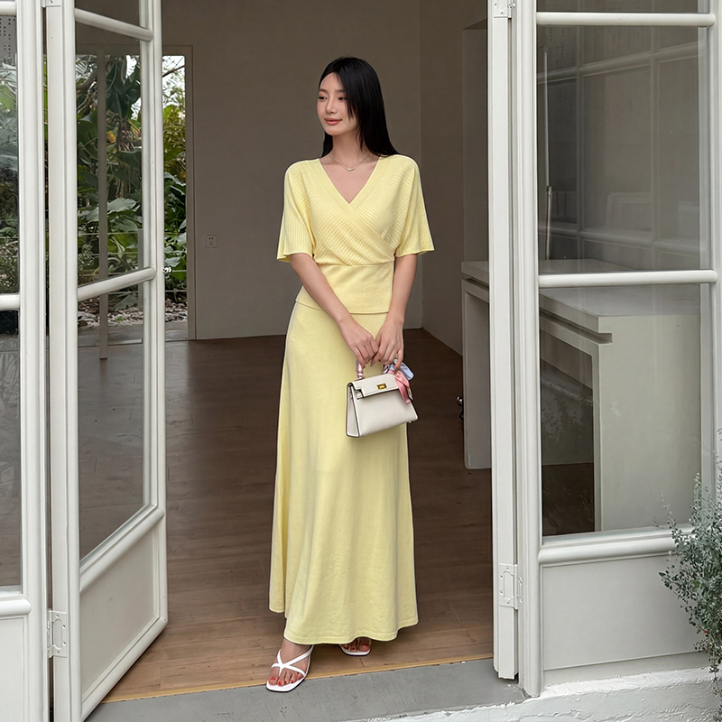 Temperament V-neck tops knitted skirt 2pcs set