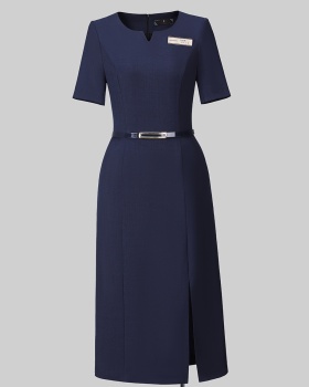 Summer thin Casual profession with belt dress for women