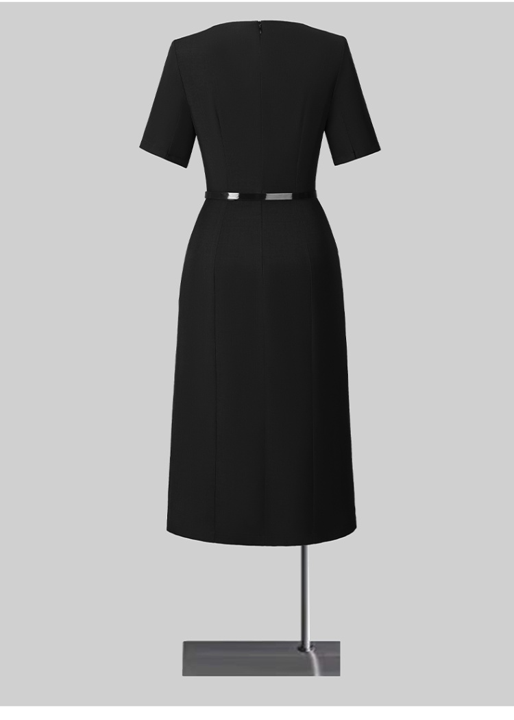 Summer thin Casual profession with belt dress for women