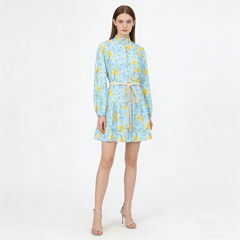 Flowers lantern sleeve short painting spring and summer dress