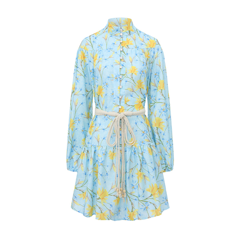 Flowers lantern sleeve short painting spring and summer dress