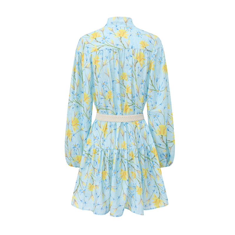 Flowers lantern sleeve short painting spring and summer dress