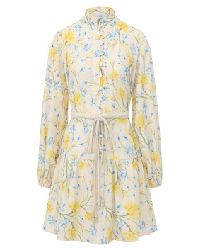 Painting short flowers lantern sleeve dress