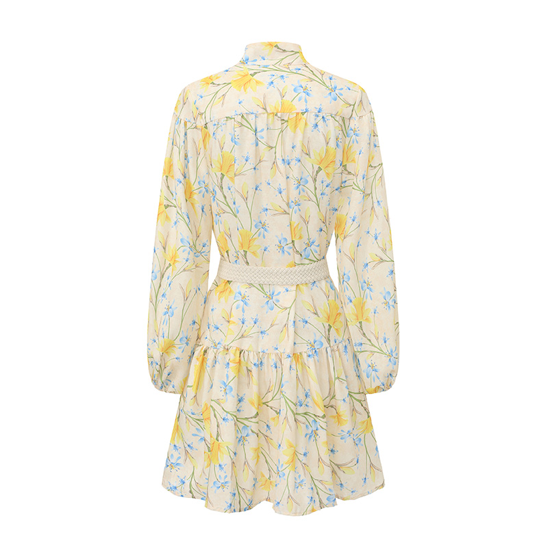 Painting short flowers lantern sleeve dress