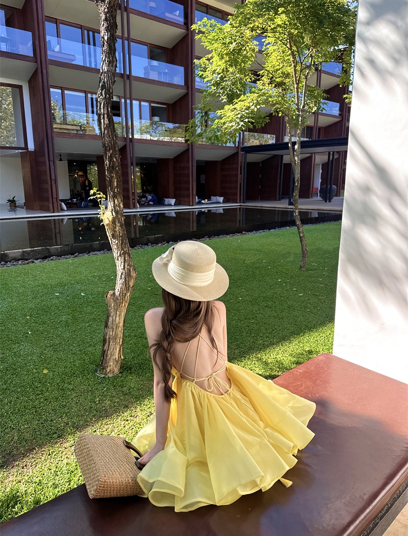 V-neck halter T-back small fellow vacation Sexy underwear