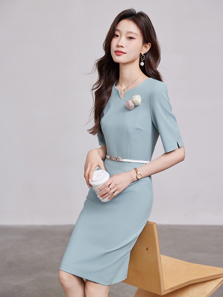 Small fellow pinched waist slim retro dress
