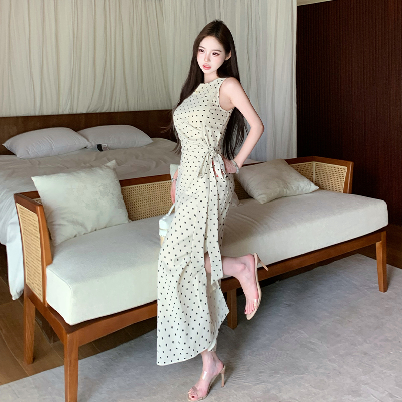 Temperament summer long dress polka dot dress for women