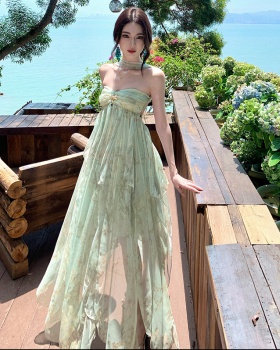 Printing summer long dress irregular dress for women