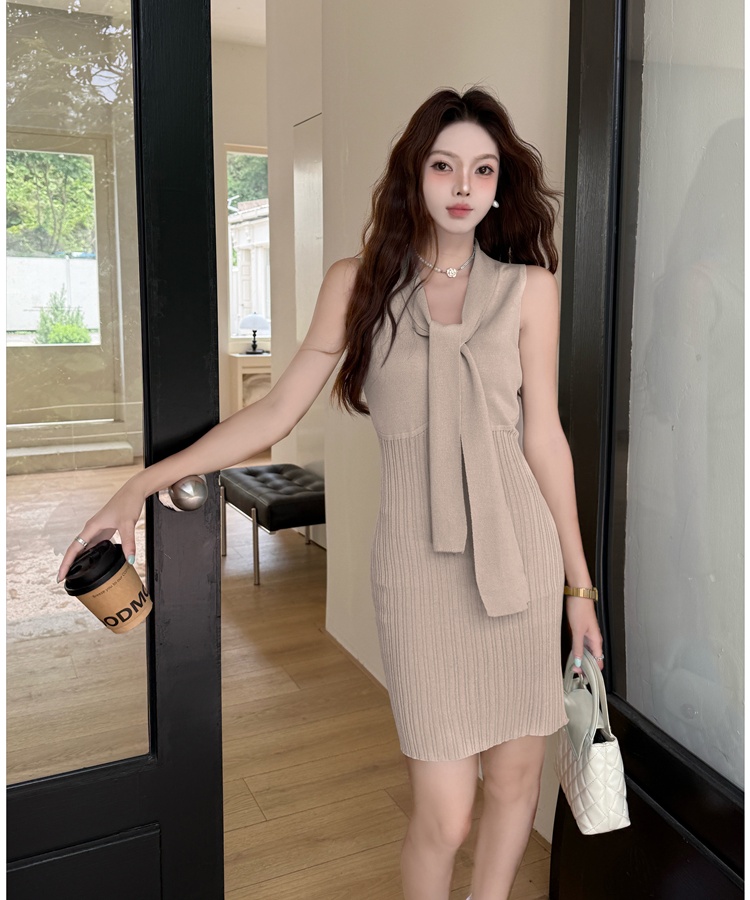Short knitted France style small fellow dress for women