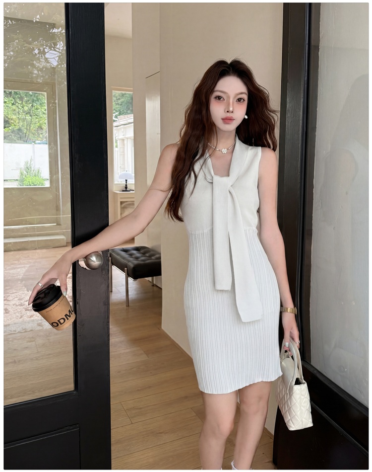 Short knitted France style small fellow dress for women
