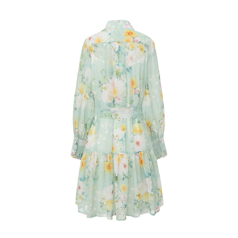 Short painting painted spring and summer dress