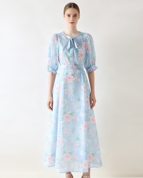 Long retro frenum spring dress