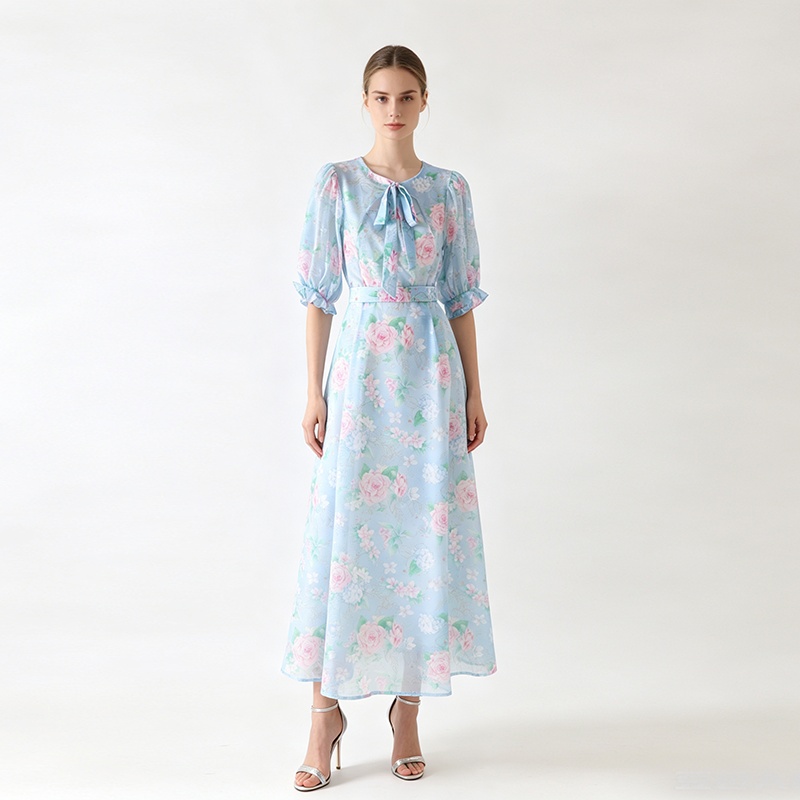 Long retro frenum spring dress