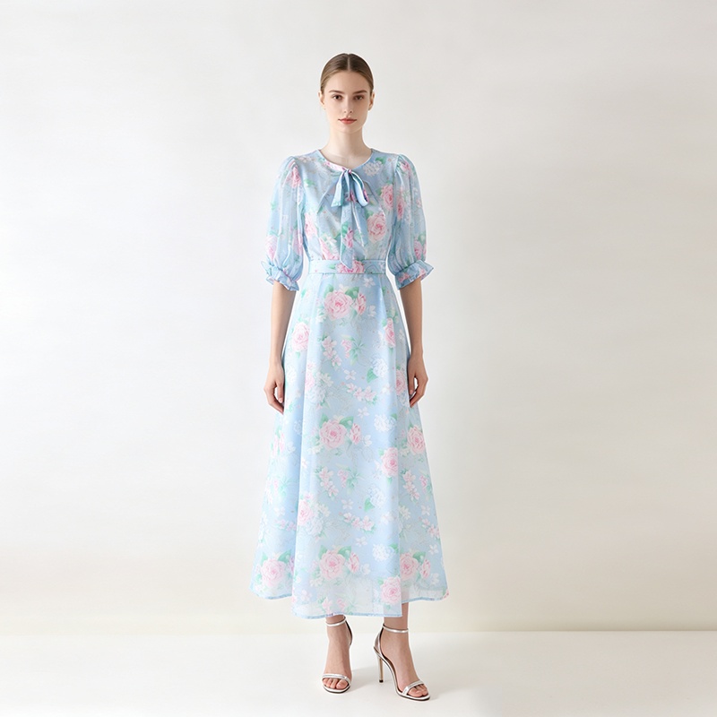 Long retro frenum spring dress