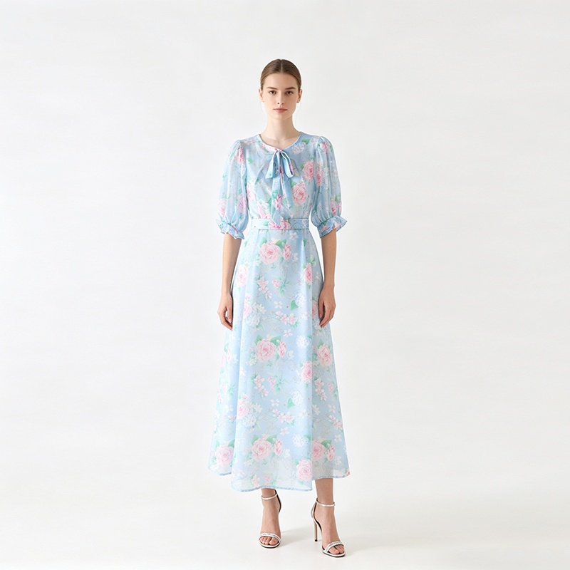 Long retro frenum spring dress