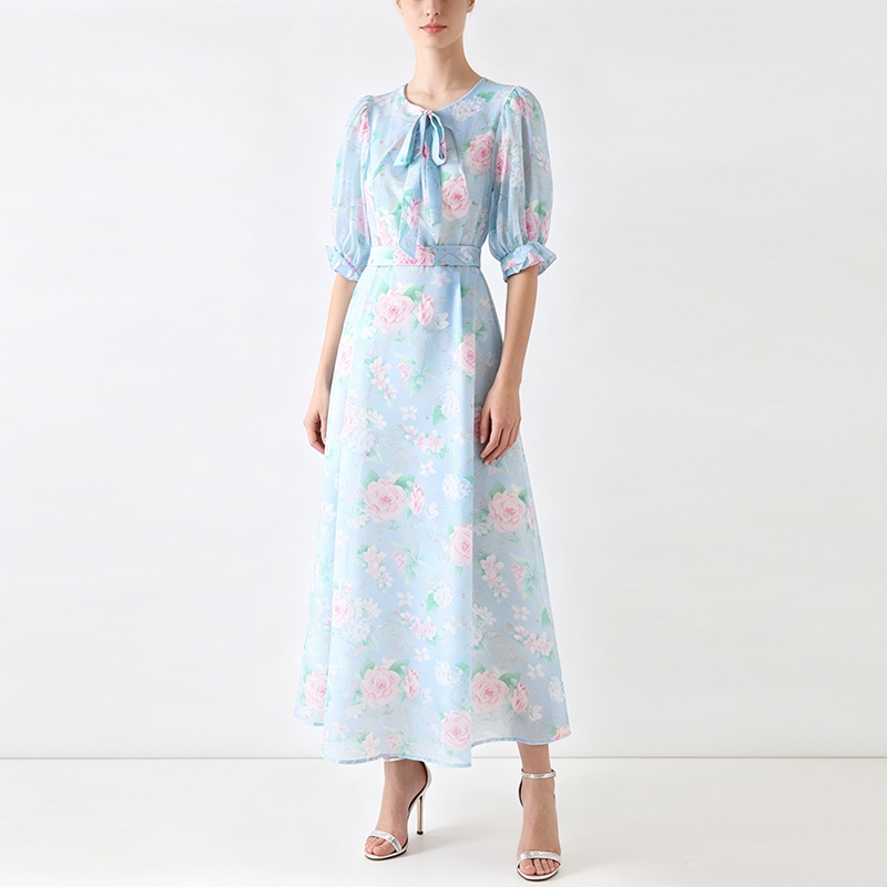 Long retro frenum spring dress