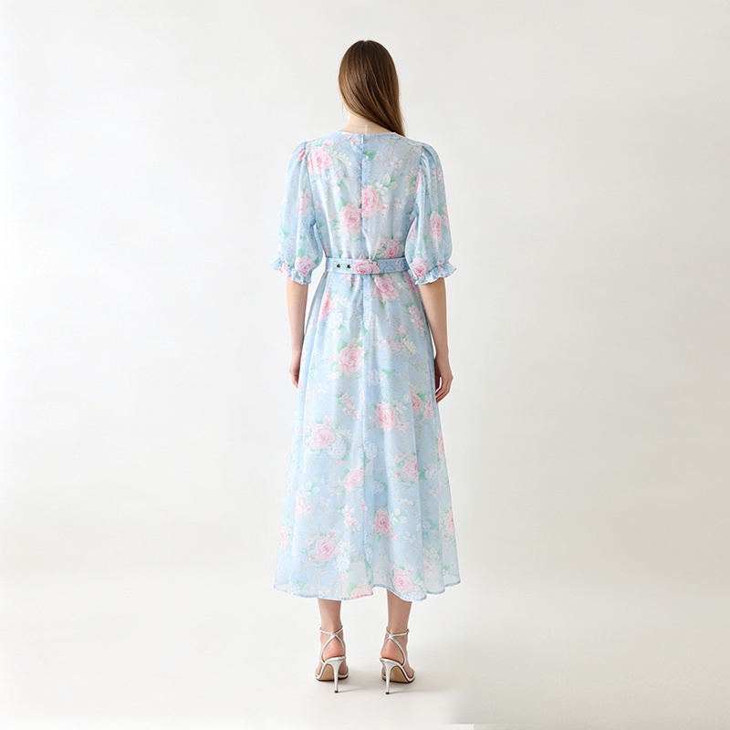 Long retro frenum spring dress