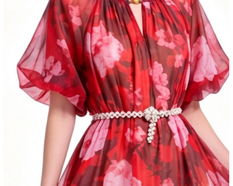 Pinched waist chiffon printing France style dress