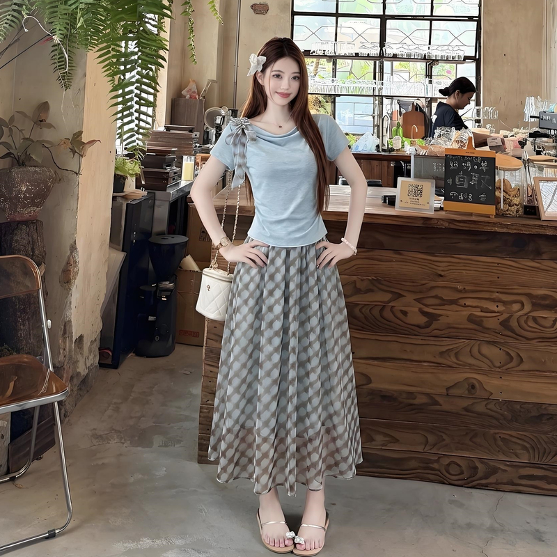 Gauze skirt Korean style long skirt 2pcs set for women