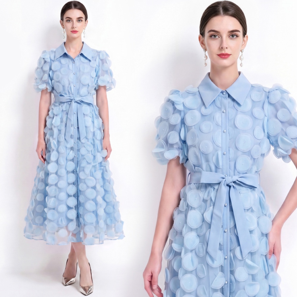 Short sleeve embroidery A-line pinched waist dress