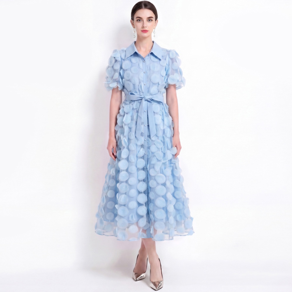 Short sleeve embroidery A-line pinched waist dress