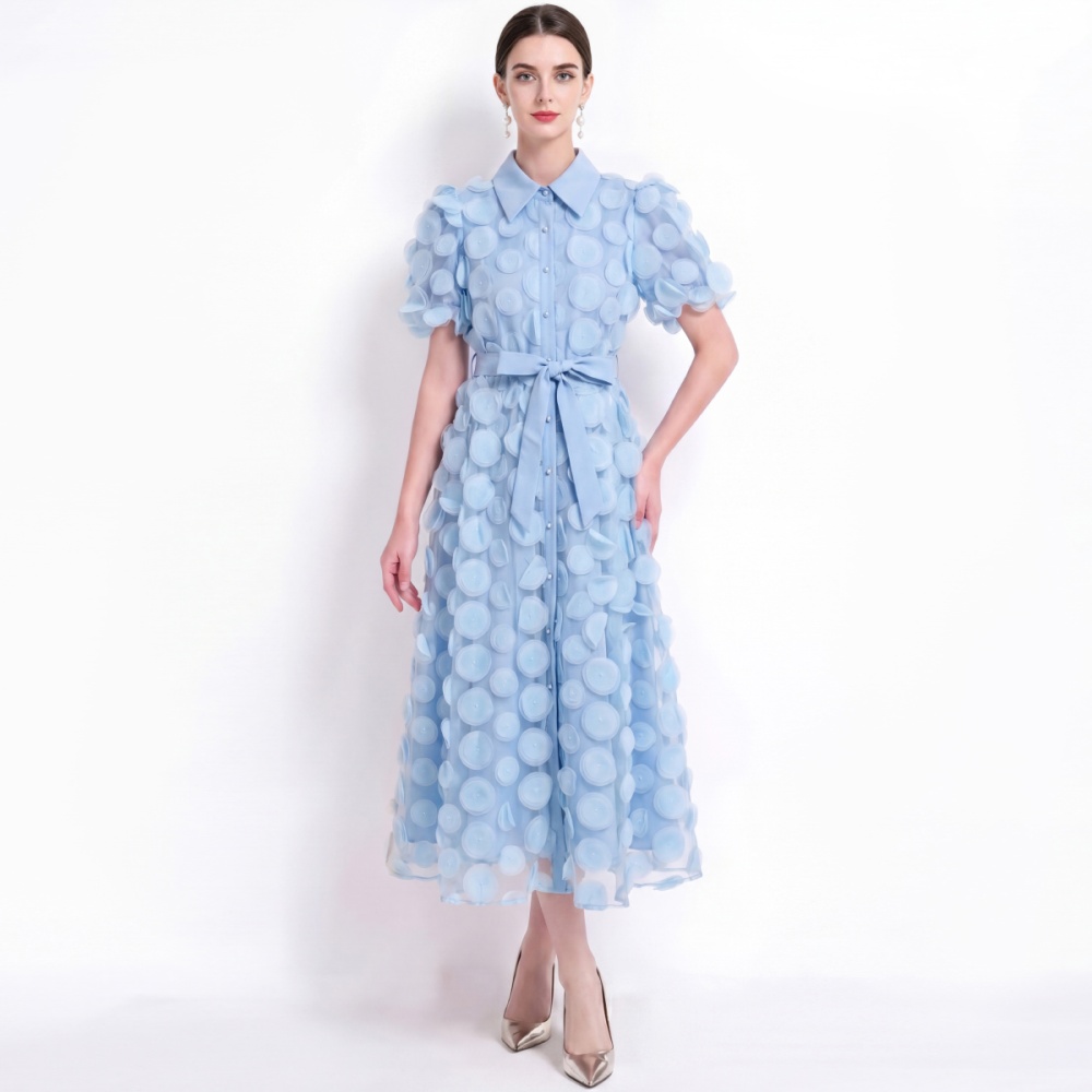 Short sleeve embroidery A-line pinched waist dress