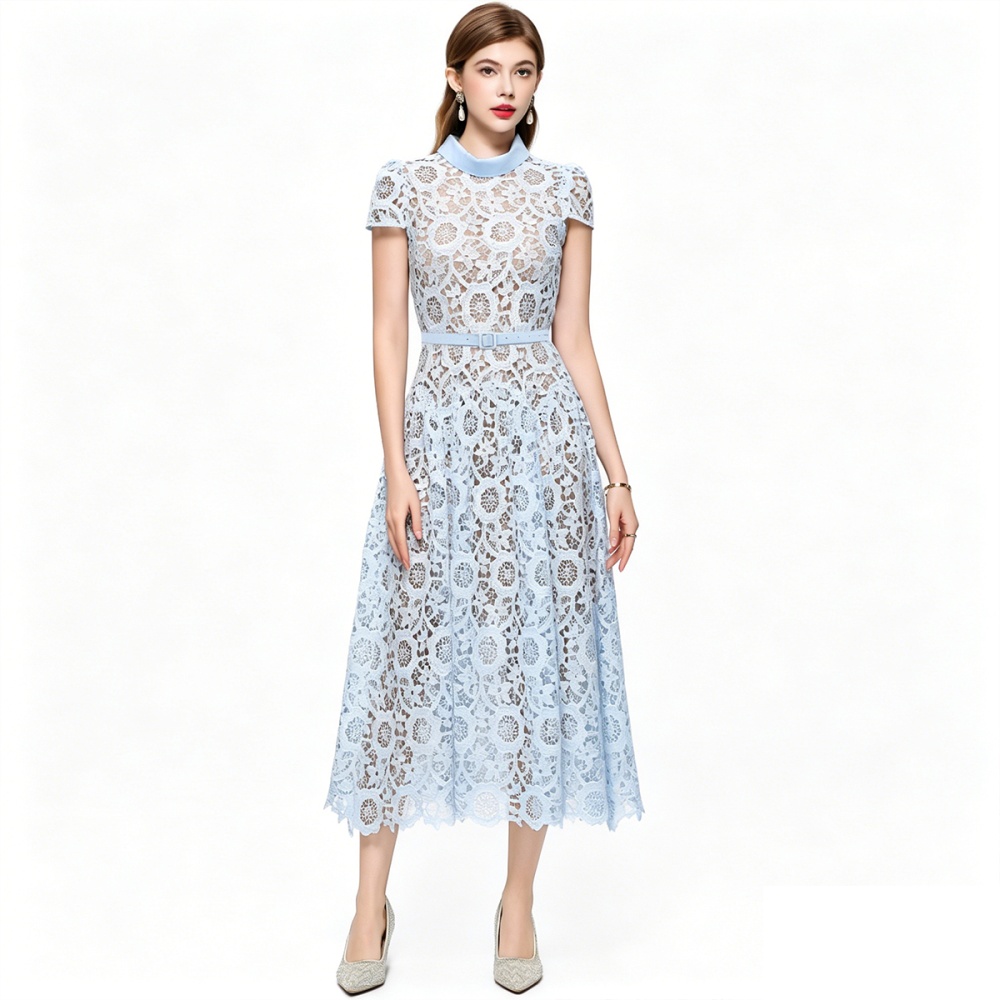 France style pinched waist elegant lace dress